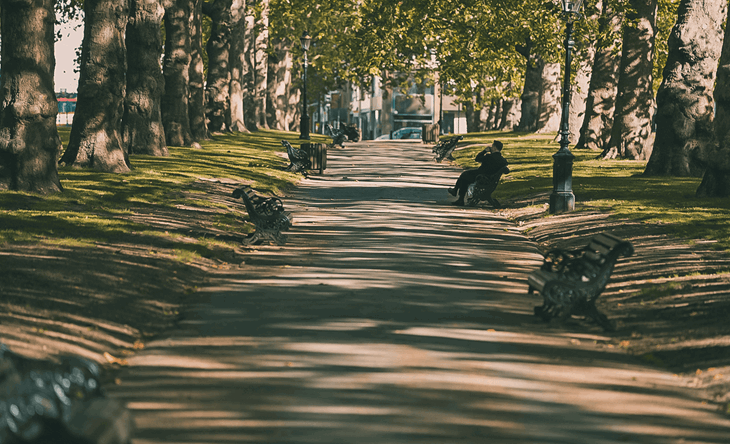 Trees overlooking a path in Green Park London