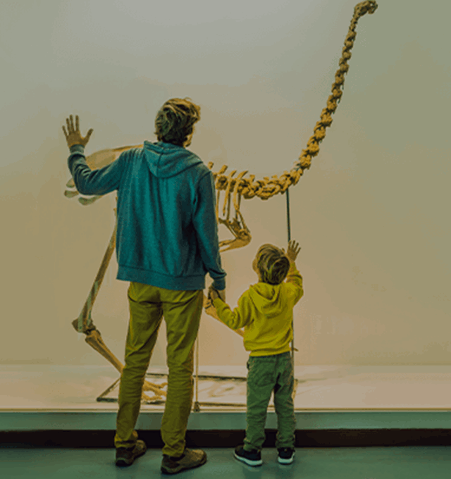 Exhibition at the Natural History Museum London
