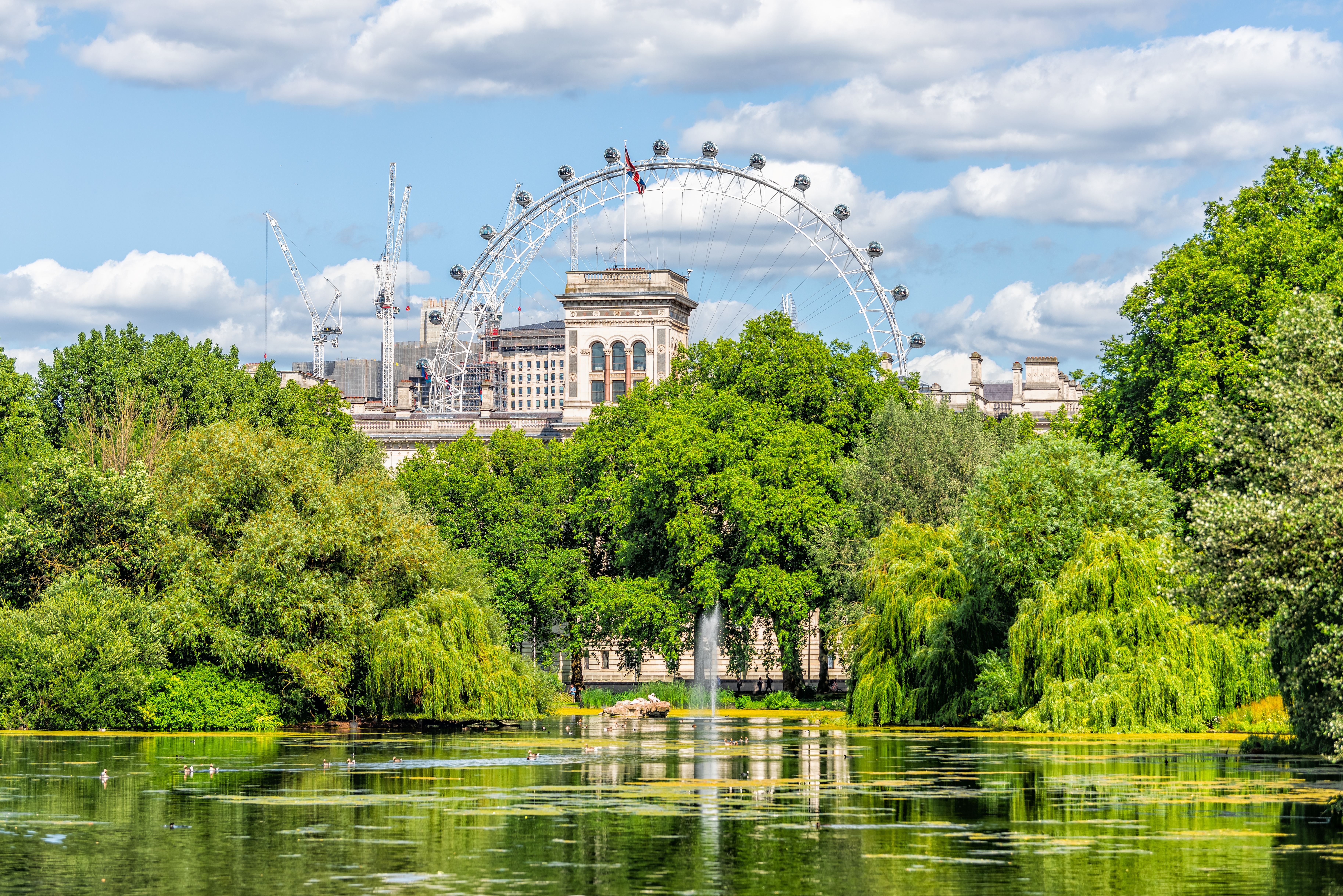 London eye views over park wit lake 